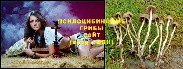 гидра Зеленокумск
