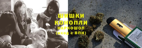 гидра Зеленокумск
