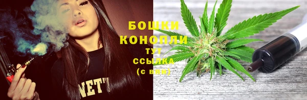 гидра Зеленокумск