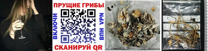 Псилоцибиновые грибы Magic Shrooms  omg ССЫЛКА  Коломна 